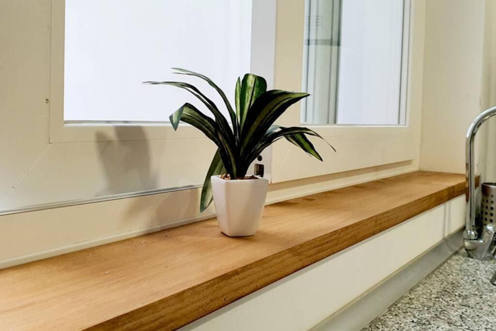Apartamento Interior En El Absoluto Centro Ba Algeciras Dış mekan fotoğraf